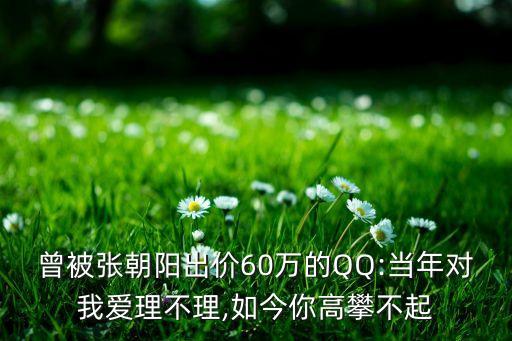 曾被張朝陽出價(jià)60萬的QQ:當(dāng)年對我愛理不理,如今你高攀不起