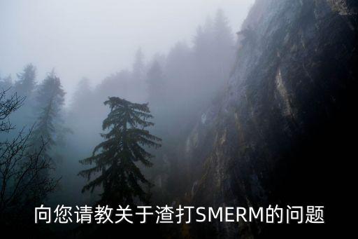 向您請教關(guān)于渣打SMERM的問題