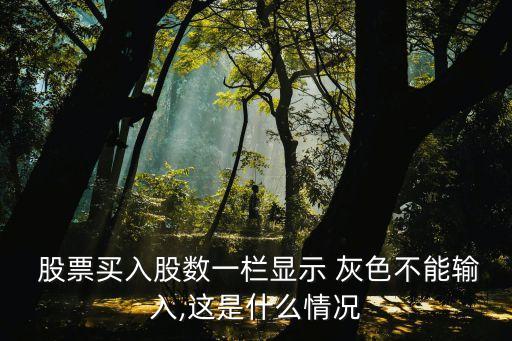  股票買入股數(shù)一欄顯示 灰色不能輸入,這是什么情況