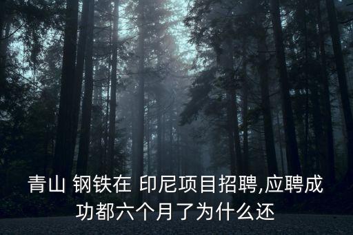 青山 鋼鐵在 印尼項目招聘,應(yīng)聘成功都六個月了為什么還