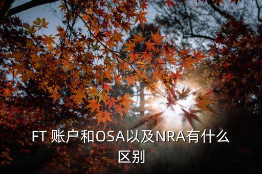 FT 賬戶和OSA以及NRA有什么區(qū)別