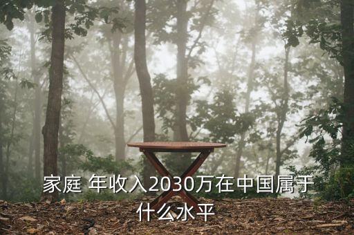  家庭 年收入2030萬在中國屬于什么水平