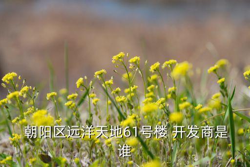  朝陽(yáng)區(qū)遠(yuǎn)洋天地61號(hào)樓 開(kāi)發(fā)商是誰(shuí)