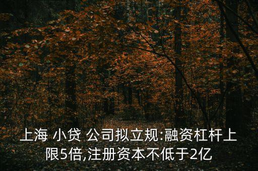 上海 小貸 公司擬立規(guī):融資杠桿上限5倍,注冊(cè)資本不低于2億