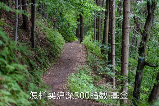 怎樣買滬深300指數(shù) 基金