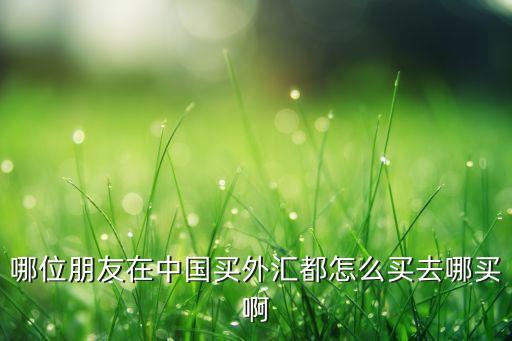 哪位朋友在中國(guó)買(mǎi)外匯都怎么買(mǎi)去哪買(mǎi)啊