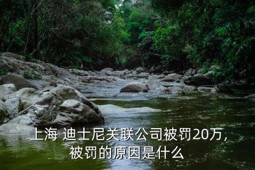  上海 迪士尼關(guān)聯(lián)公司被罰20萬(wàn),被罰的原因是什么