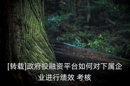 [轉(zhuǎn)載]政府投融資平臺如何對下屬企業(yè)進行績效 考核