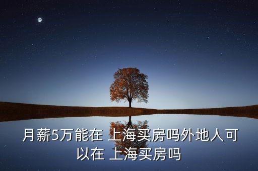 月薪五萬上海什么水平,美國月薪五萬美金什么水平