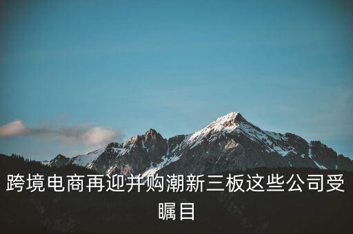 上海證券收購(gòu),國(guó)泰君安收購(gòu)上海證券的目的