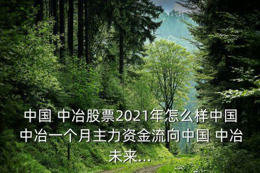 中國 中冶股票2021年怎么樣中國 中冶一個月主力資金流向中國 中冶未來...