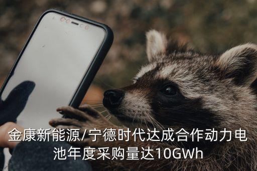 金康新能源/寧德時代達(dá)成合作動力電池年度采購量達(dá)10GWh