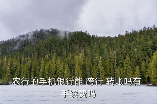 農(nóng)行的手機(jī)銀行能 跨行 轉(zhuǎn)賬嗎有 手續(xù)費(fèi)嗎