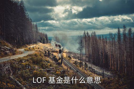 LOF 基金是什么意思