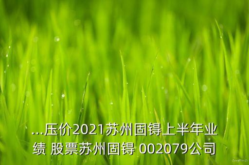 ...壓價2021蘇州固锝上半年業(yè)績 股票蘇州固锝 002079公司