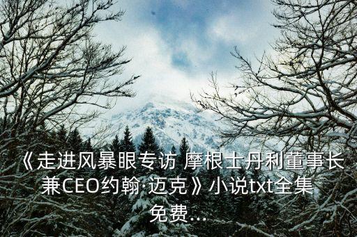 《走進(jìn)風(fēng)暴眼專訪 摩根士丹利董事長兼CEO約翰·邁克》小說txt全集免費(fèi)...