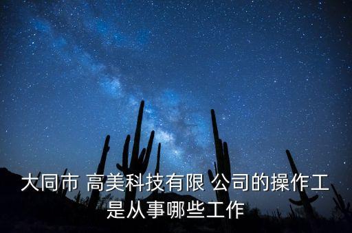 美國高美公司,高美集團是什么公司