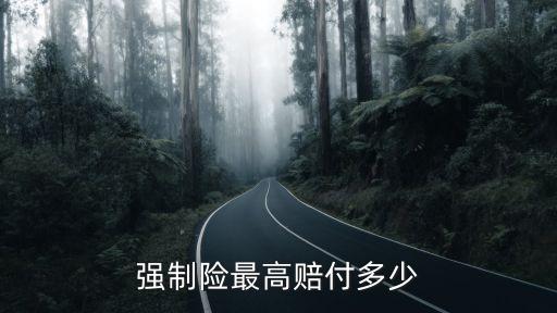 保險公司最高賠償金額,事故人對保險公司賠償?shù)慕痤~不滿意