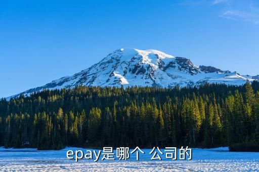 epay是哪個(gè) 公司的