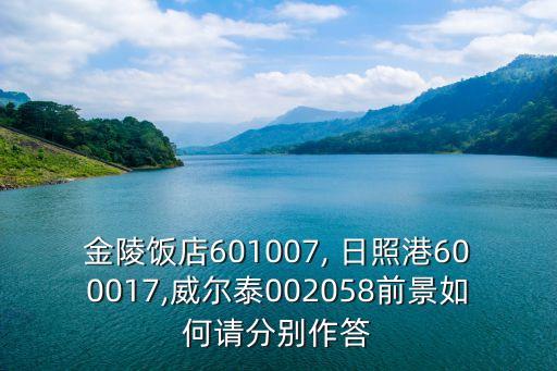 金陵飯店601007, 日照港600017,威爾泰002058前景如何請分別作答