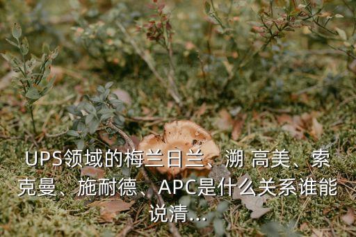 UPS領(lǐng)域的梅蘭日蘭、溯 高美、索克曼、施耐德、APC是什么關(guān)系誰能說清...