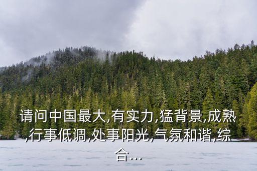 請問中國最大,有實(shí)力,猛背景,成熟,行事低調(diào),處事陽光,氣氛和諧,綜合...