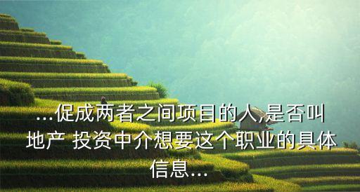 ...促成兩者之間項目的人,是否叫 地產(chǎn) 投資中介想要這個職業(yè)的具體信息...