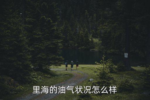 里海的油氣狀況怎么樣