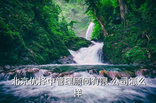  北京優(yōu)擇中管理顧問(wèn)有限 公司怎么樣