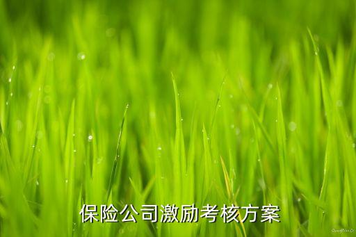  保險(xiǎn)公司激勵(lì)考核方案