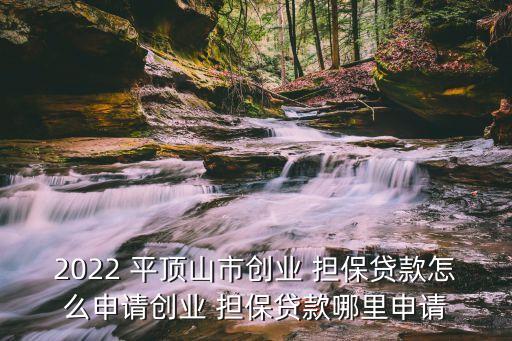 2022 平頂山市創(chuàng)業(yè) 擔保貸款怎么申請創(chuàng)業(yè) 擔保貸款哪里申請