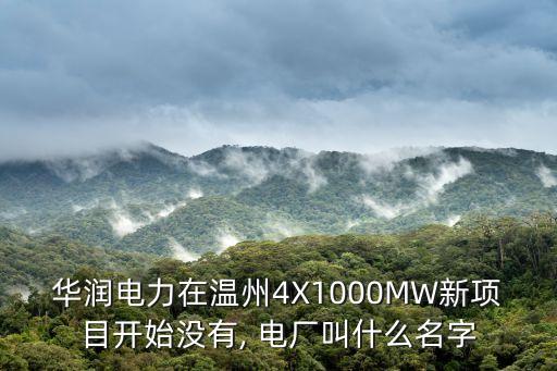 華潤(rùn)電力在溫州4X1000MW新項(xiàng)目開始沒有, 電廠叫什么名字