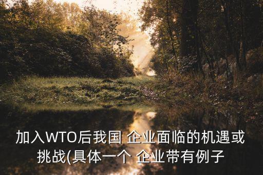 加入WTO后我國(guó) 企業(yè)面臨的機(jī)遇或挑戰(zhàn)(具體一個(gè) 企業(yè)帶有例子