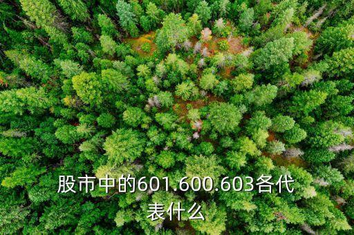 股市中的601.600.603各代表什么