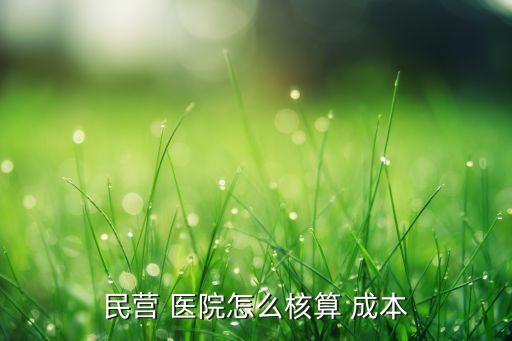 民營(yíng) 醫(yī)院怎么核算 成本