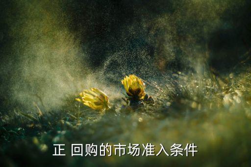 交易所債券正回購(gòu)合格投資者開戶,個(gè)人投資者債券正回購(gòu)