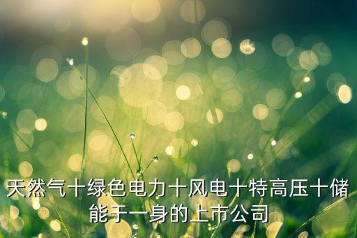 天然氣十綠色電力十風(fēng)電十特高壓十儲(chǔ)能于一身的上市公司