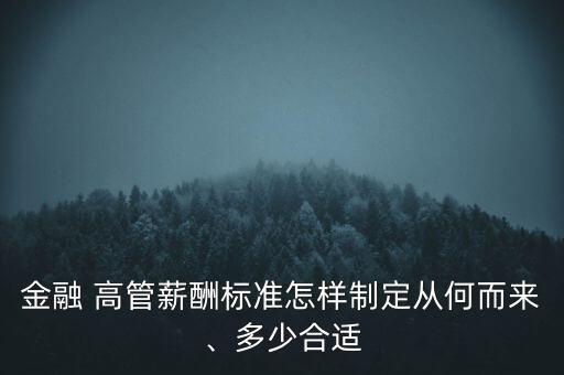 金融 高管薪酬標(biāo)準(zhǔn)怎樣制定從何而來、多少合適