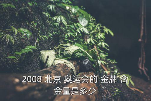 2008 北京 奧運會的 金牌 含金量是多少