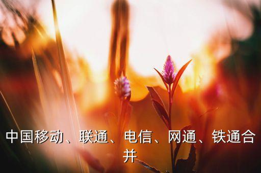 中國移動、聯(lián)通、電信、網(wǎng)通、鐵通合并