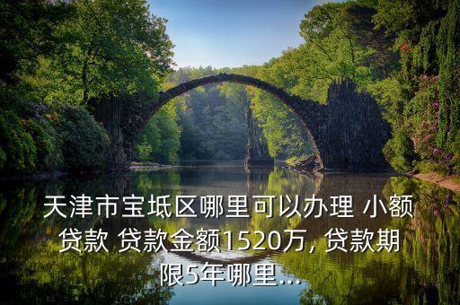  天津市寶坻區(qū)哪里可以辦理 小額 貸款 貸款金額1520萬, 貸款期限5年哪里...