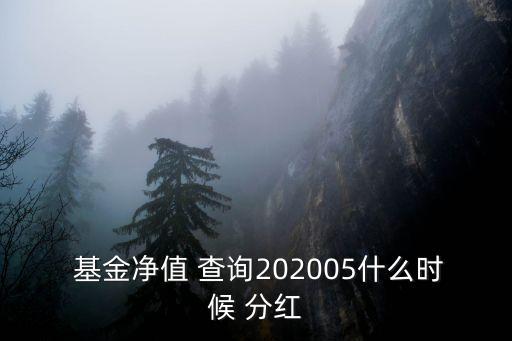  基金凈值 查詢202005什么時候 分紅