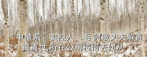 “中植系”實(shí)控人、毛 阿敏丈夫解直錕離世,所在公司將何去何從