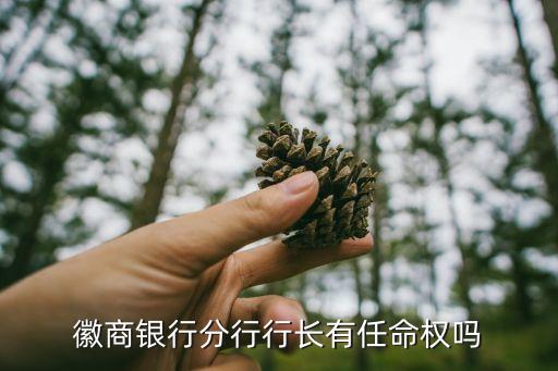 徽商銀行分行行長(zhǎng)有任命權(quán)嗎