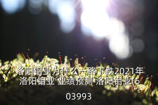  洛陽(yáng)鉬業(yè)為什么一路下跌2021年 洛陽(yáng)鉬業(yè) 業(yè)績(jī)預(yù)測(cè) 洛陽(yáng)鉬業(yè)(603993