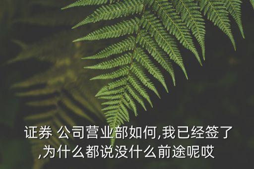  證券 公司營業(yè)部如何,我已經(jīng)簽了,為什么都說沒什么前途呢哎