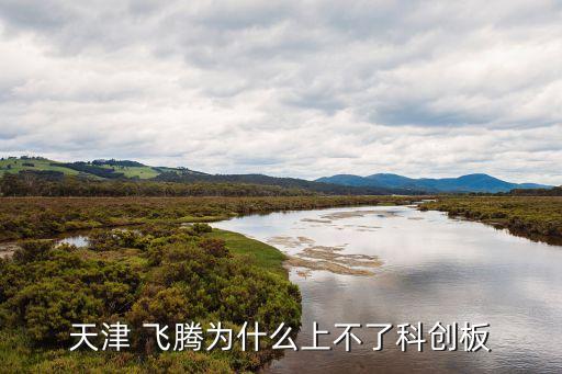 飛騰集團股份有限公司,張家港飛騰復合新材料股份有限公司