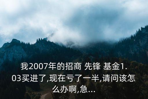 我2007年的招商 先鋒 基金1.03買進了,現在虧了一半,請問該怎么辦啊,急...