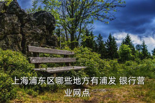  上海浦東區(qū)哪些地方有浦發(fā) 銀行營(yíng)業(yè)網(wǎng)點(diǎn)