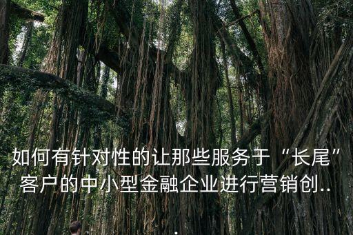 如何有針對性的讓那些服務于“長尾”客戶的中小型金融企業(yè)進行營銷創(chuàng)...